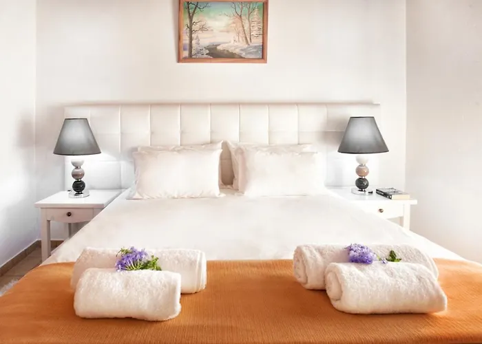 Dell' Angelo 2* Κολιός