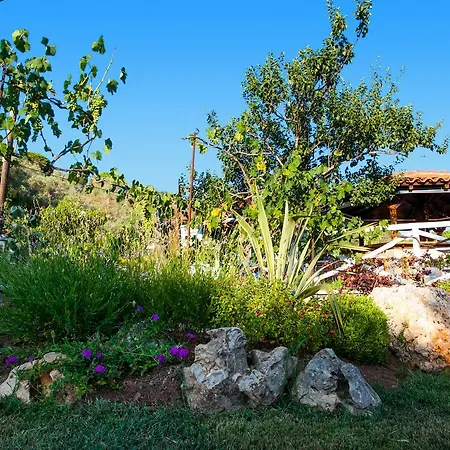 Dell' Angelo Apart Otel Kolios