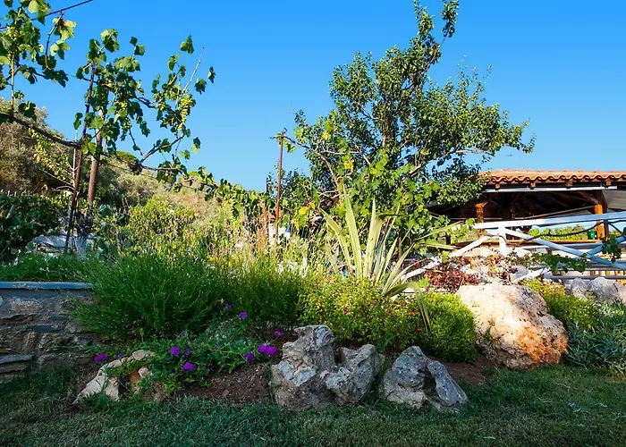 Dell' Angelo Hotel apartamentowy Kolios